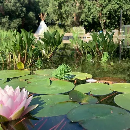 La Belle Eco Pensjonat